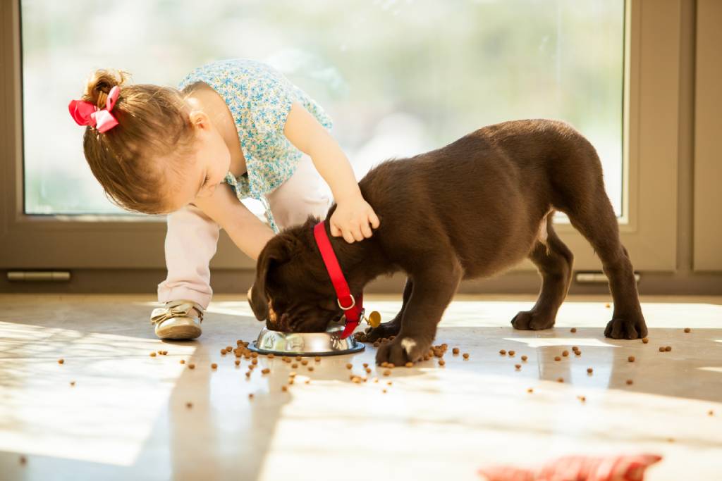 children and pets