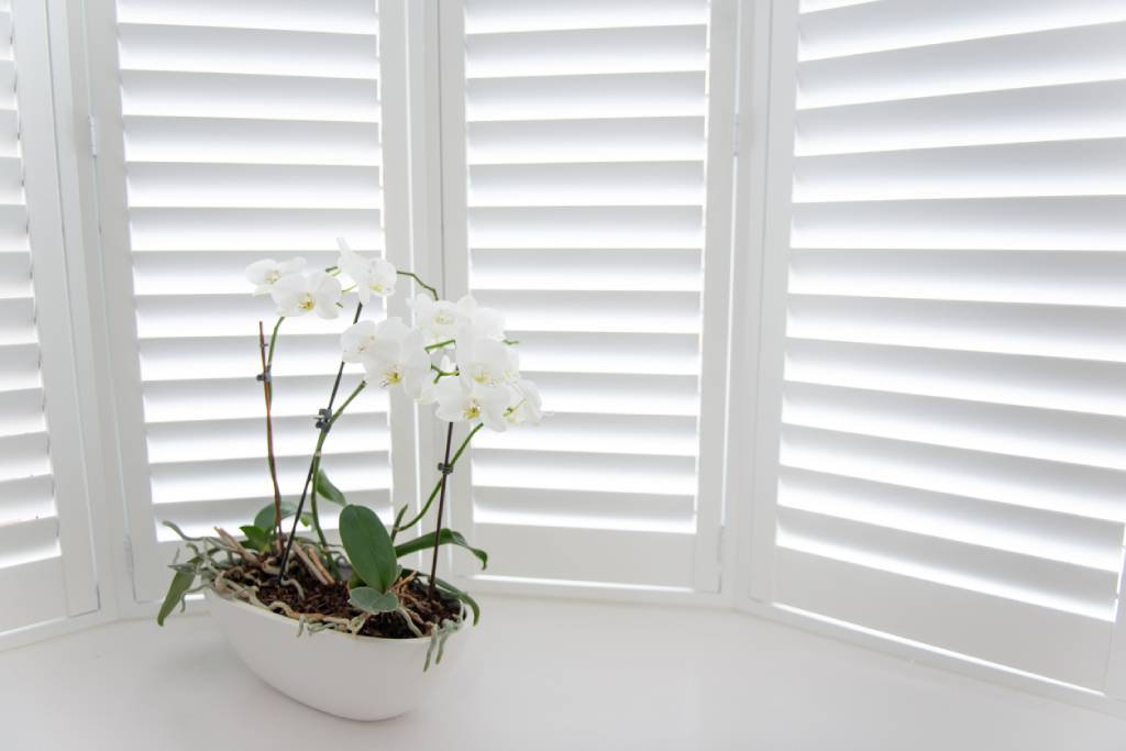 control privacy with shutters for the house