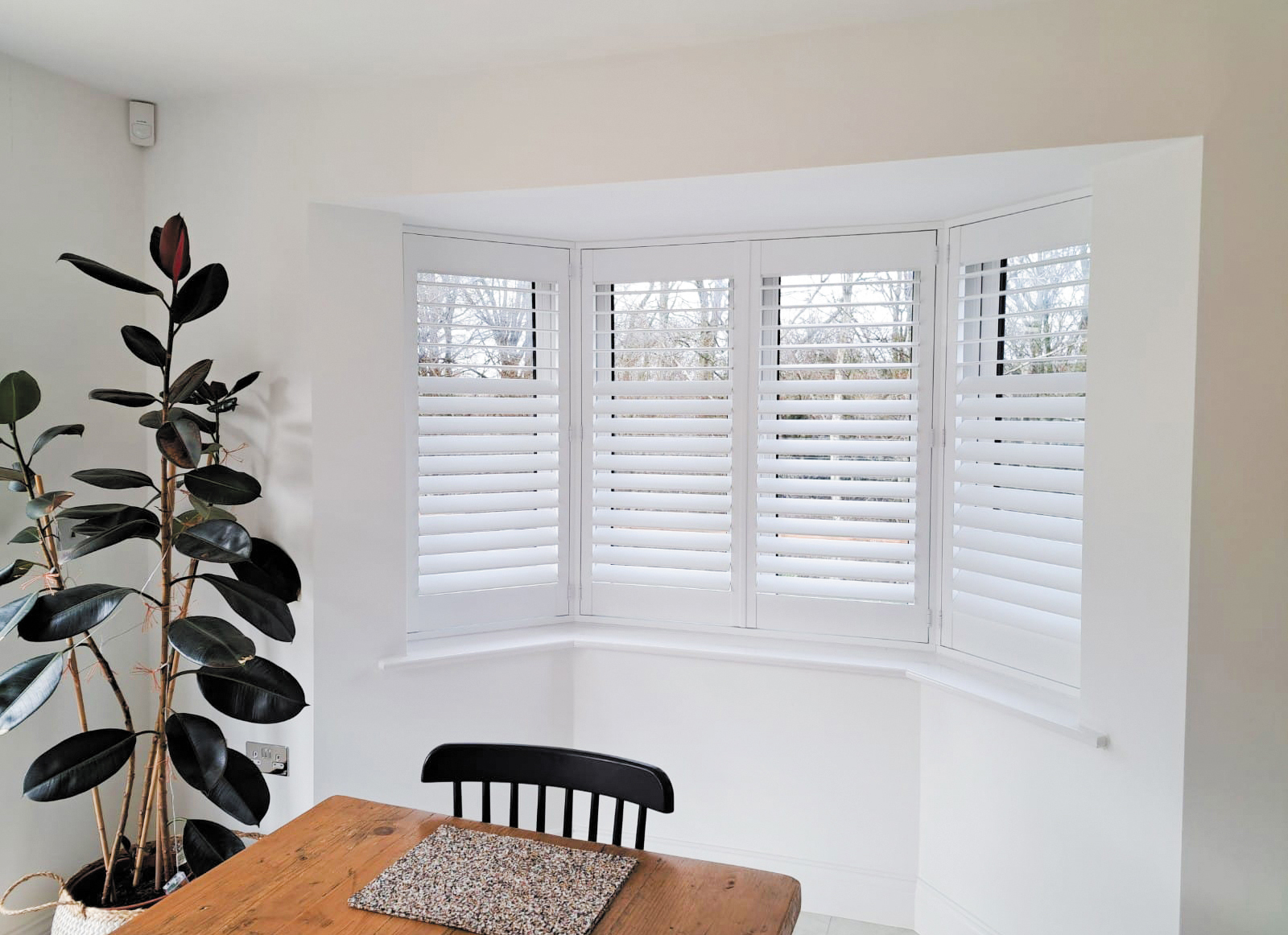 white shutters in bay window of a dining room with a big plant