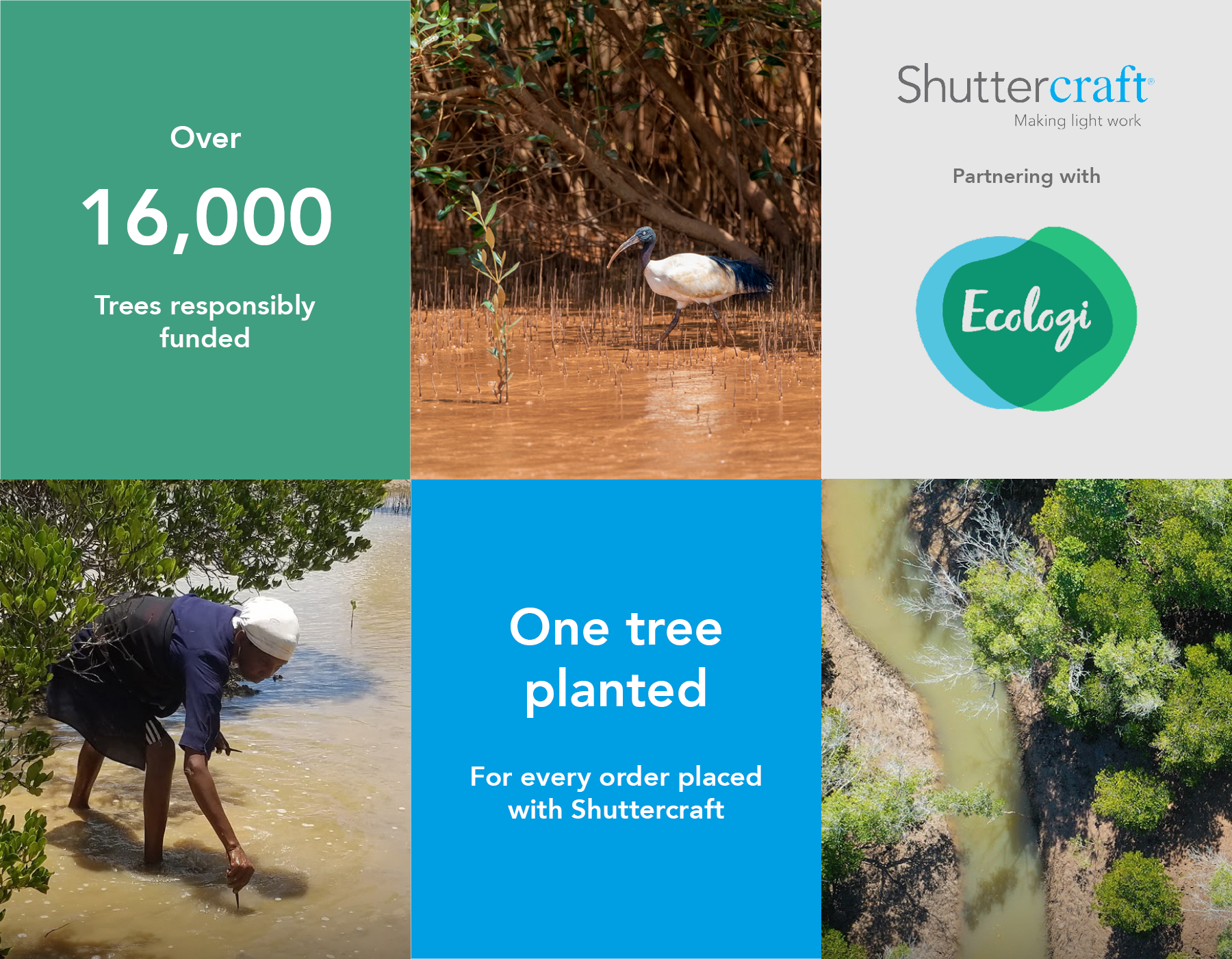 Ecologi Sustainable Tree Planting